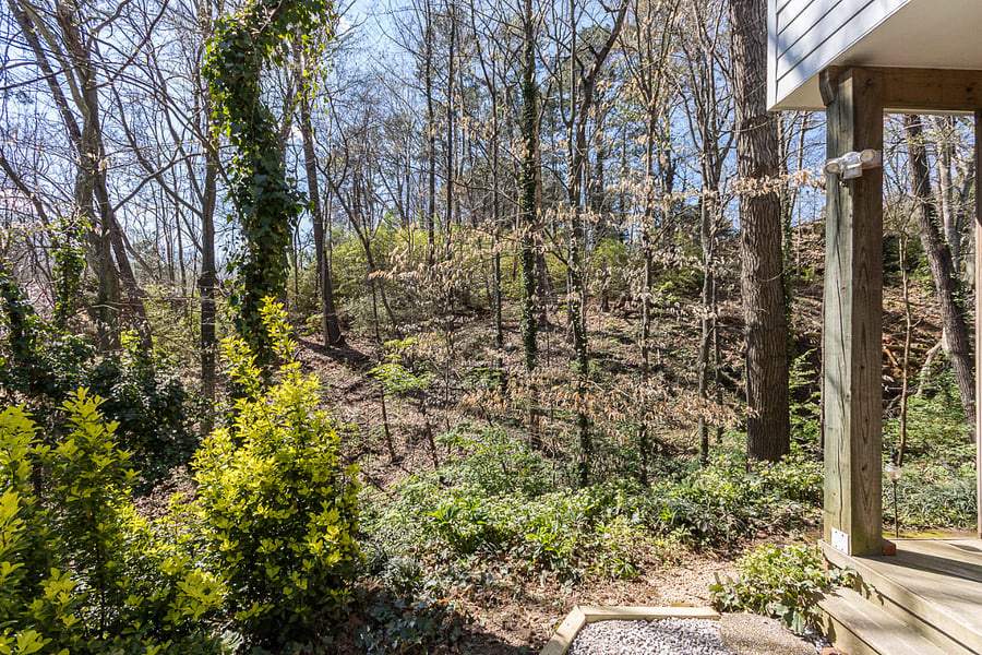 Furnished Finder property 301372_1 photo 16