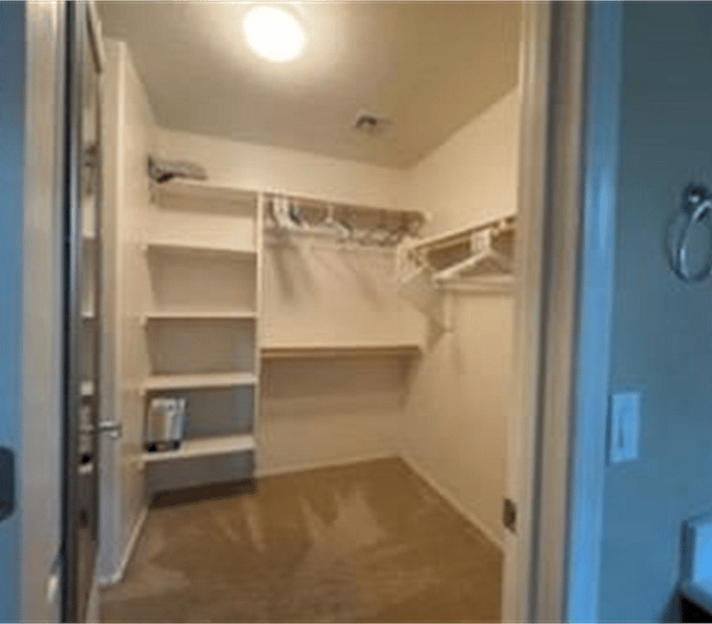 Primary Walk-in Closet