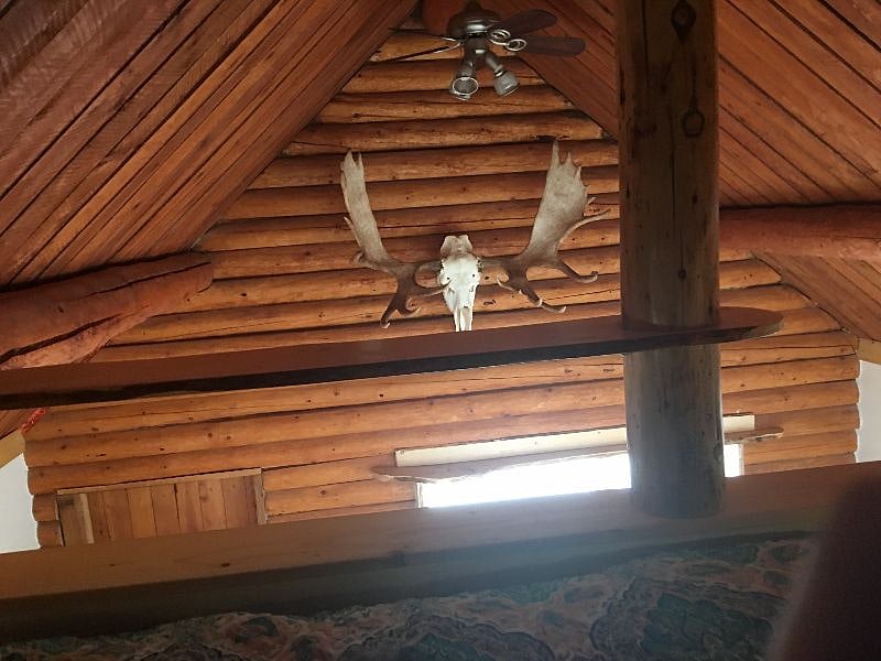 Moose antlers in Living Room