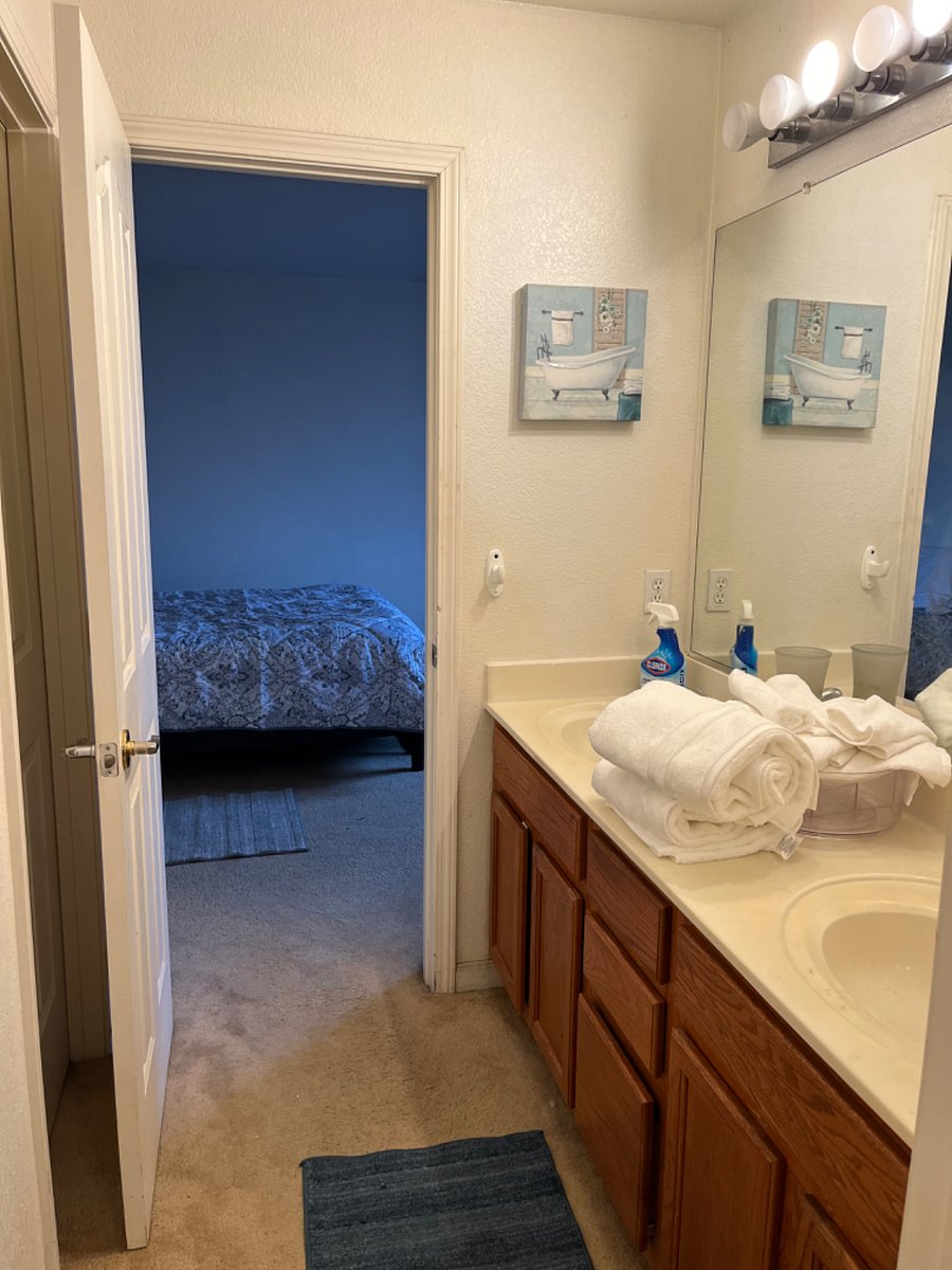 Furnished Finder property 301759_1 photo 16