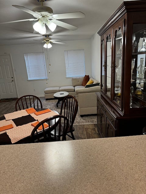 Furnished Finder property 301771_1 photo 28