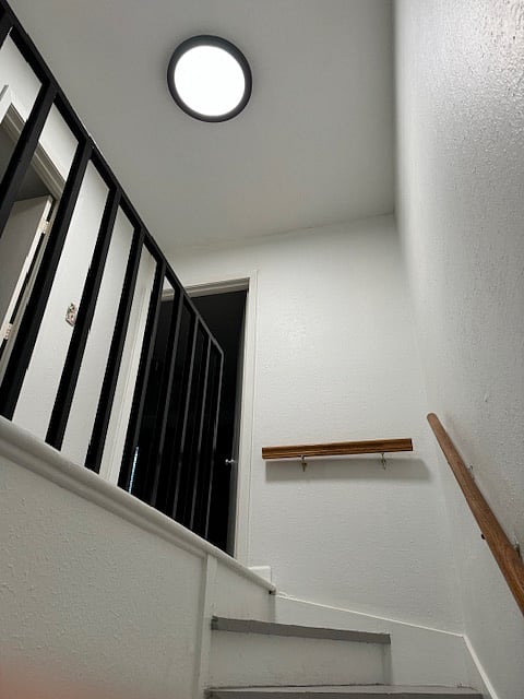 Furnished Finder property 301771_1 photo 29