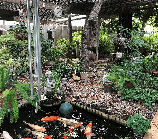 Landscape by koi pond.
