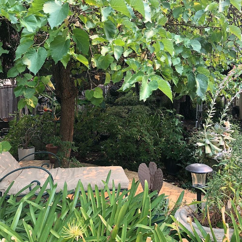 Koi pond patio.