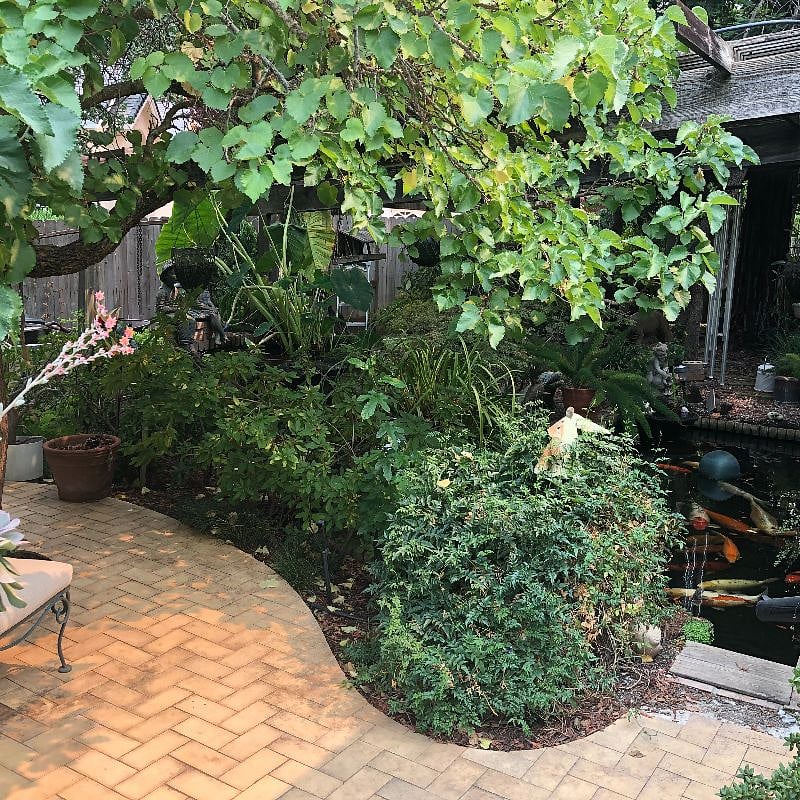 Koi pond patio.