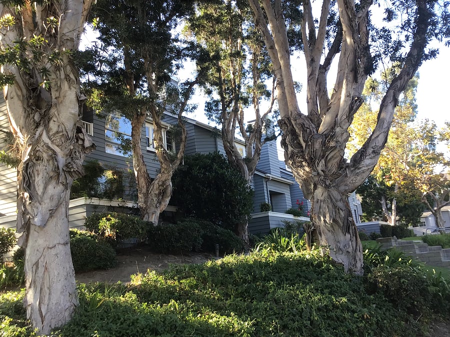 Furnished Finder property 301850_1 photo 9