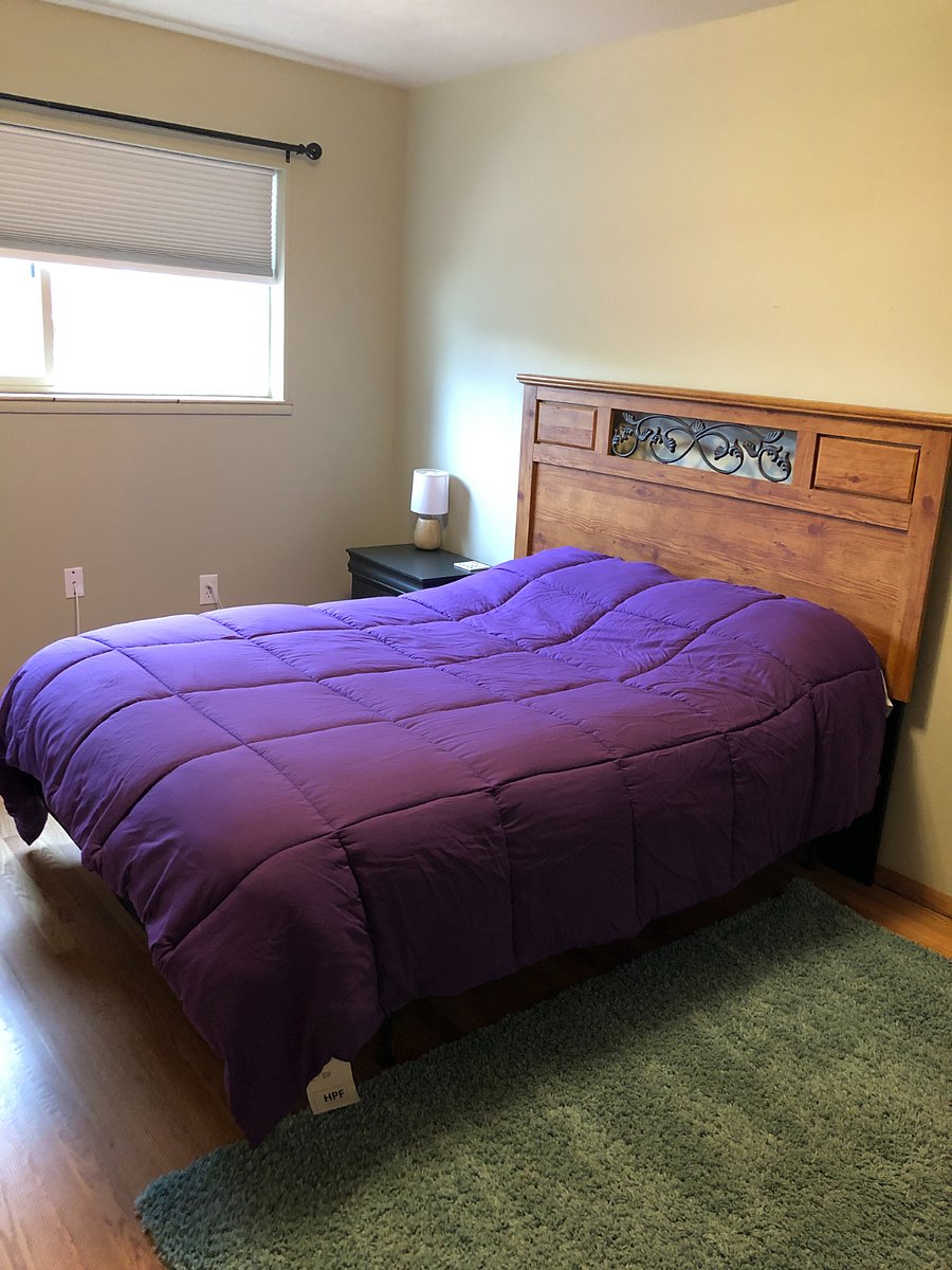 Furnished Finder property 301900_1 photo 20