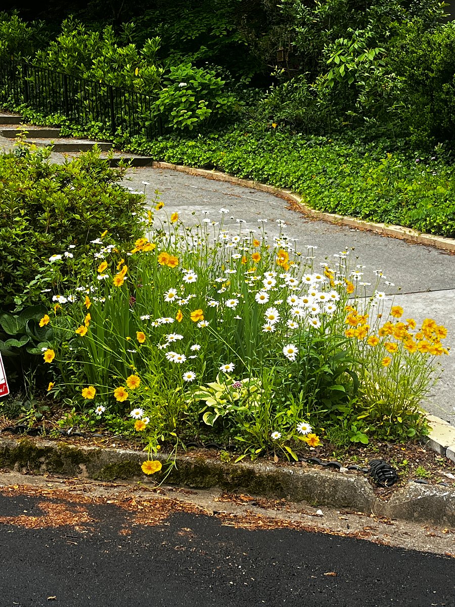 Driveway to house