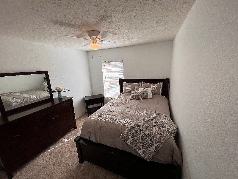 Furnished Finder property 301998_1 photo 22
