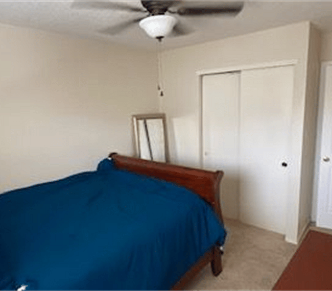Furnished Finder property 301998_1 photo 26