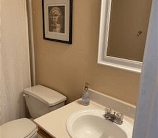 Furnished Finder property 301998_1 photo 19