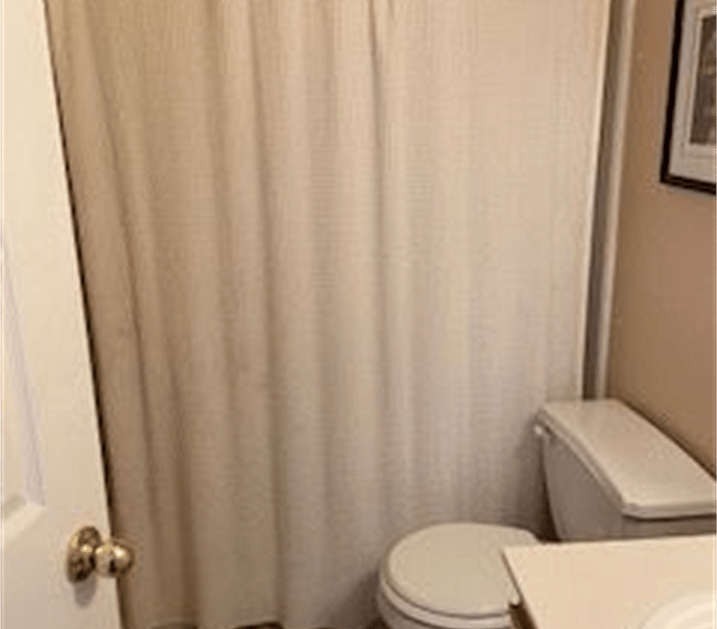 Furnished Finder property 301998_1 photo 18