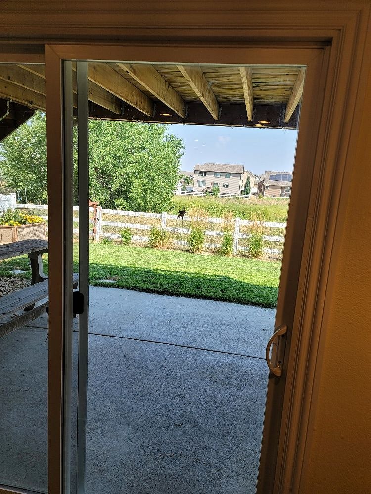 Backyard, entrance with picnic tables