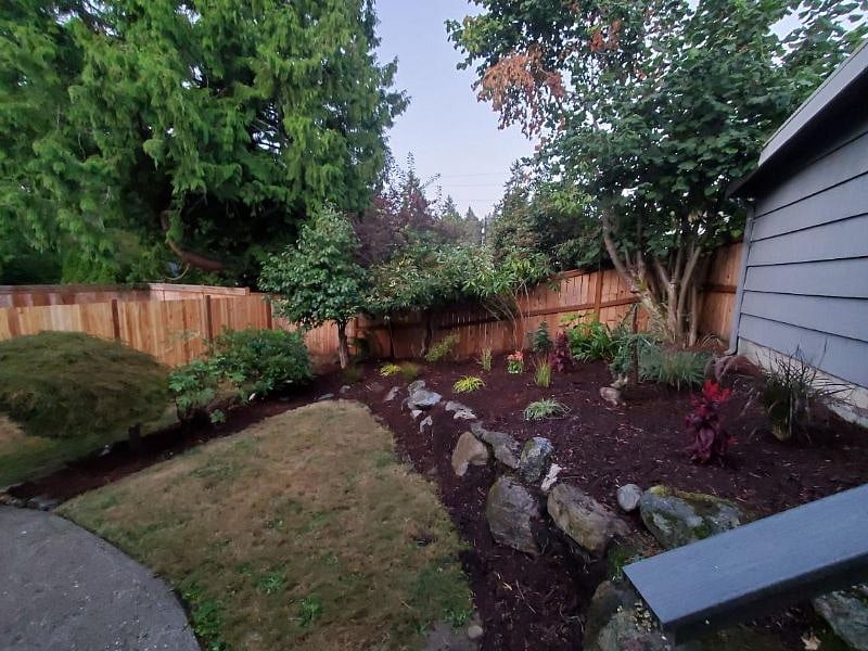 Backyard 1