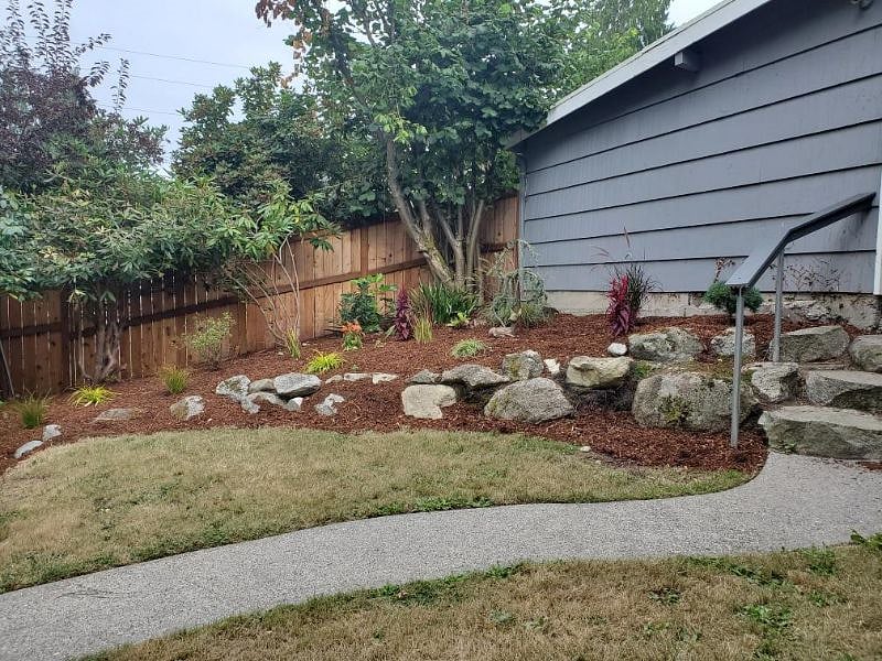 Backyard 3