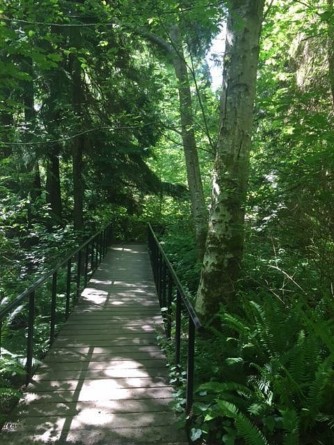 Yost park trails