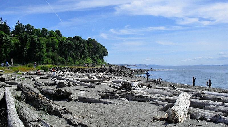 Marina Beach Park