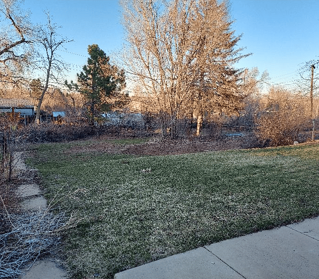 Furnished Finder property 302135_1 photo 13