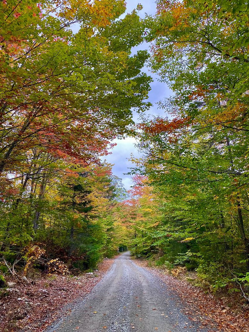 located on a quiet country dirt road