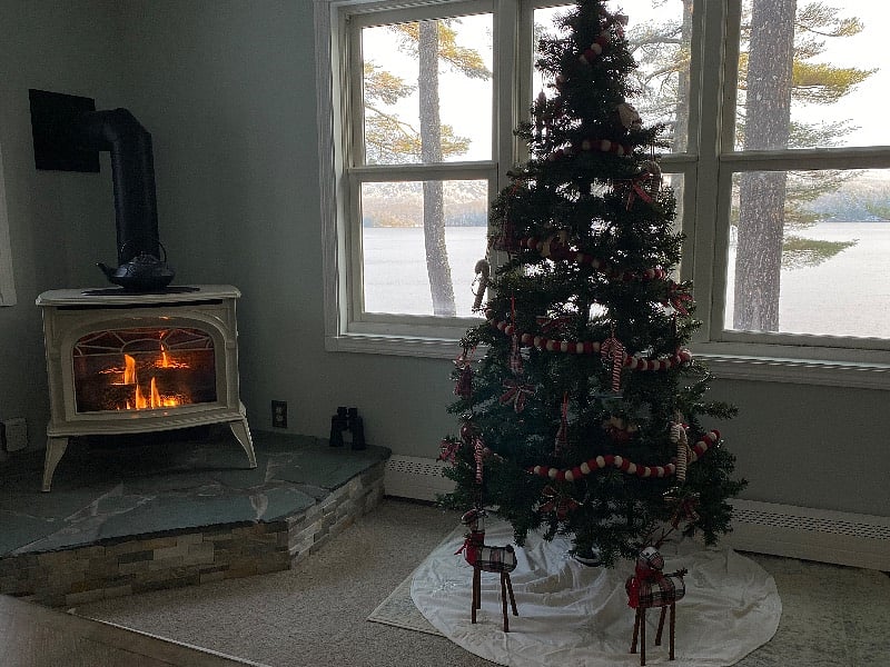 Furnished Finder property 302372_1 photo 15