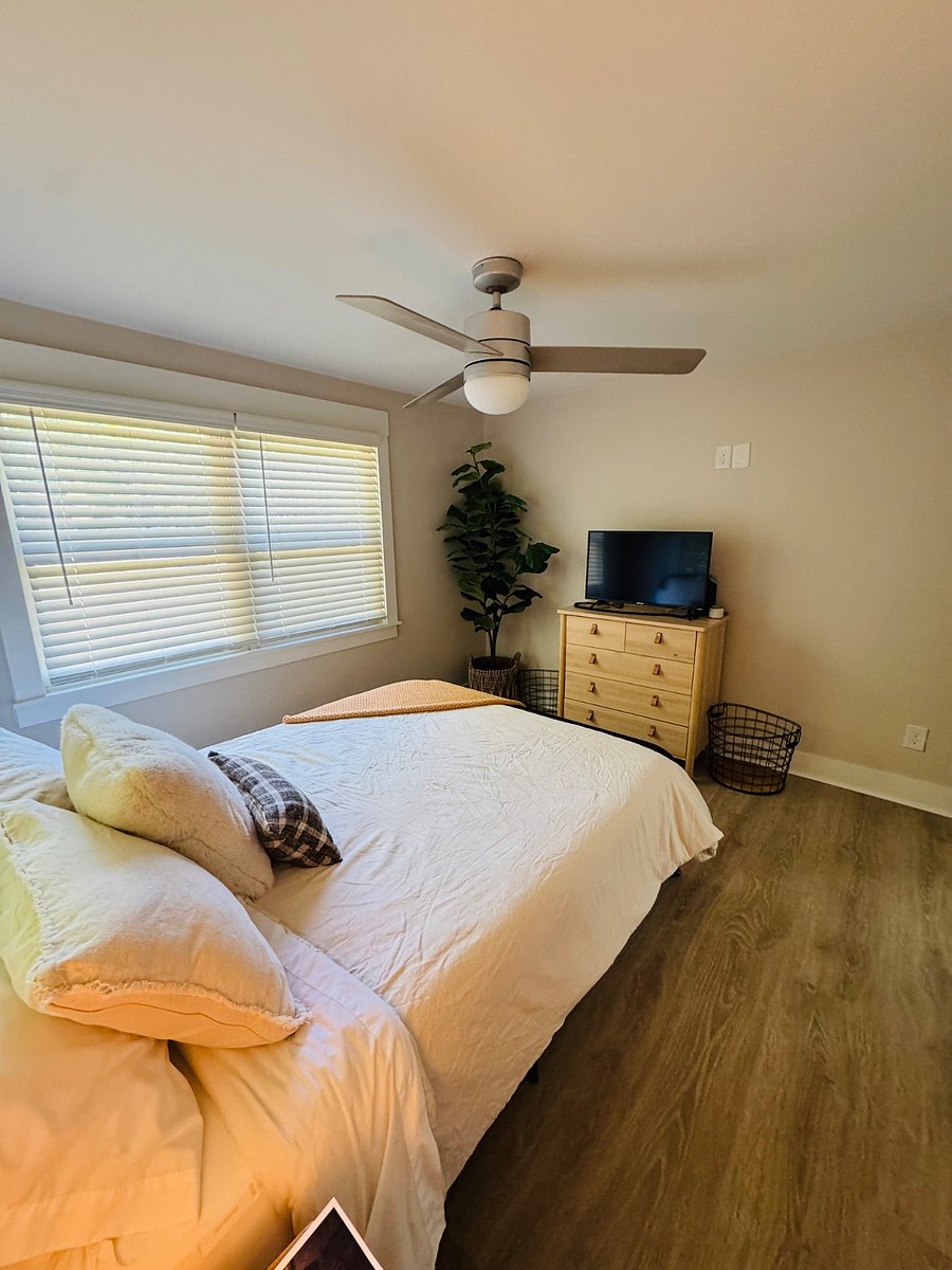 Furnished Finder property 302432_1 photo 3