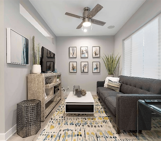 Furnished Finder property 302493_1 photo 18