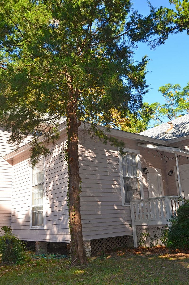 Furnished Finder property 302542_2 photo 23