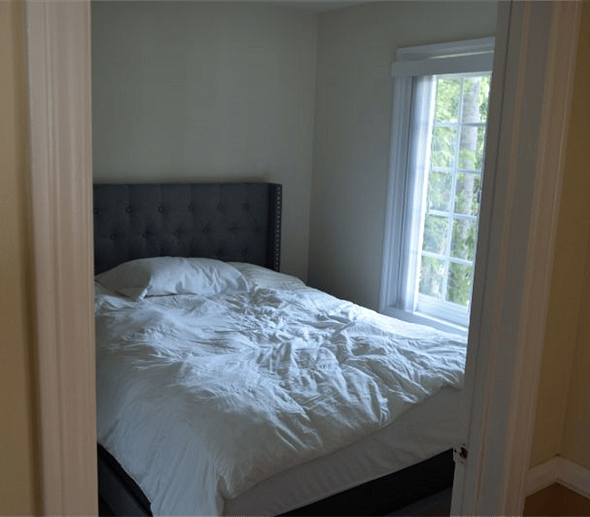 Furnished Finder property 302579_1 photo 13