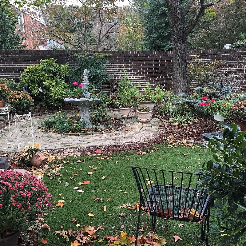 Courtyard view 1