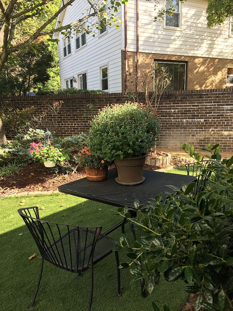 Courtyard view 2