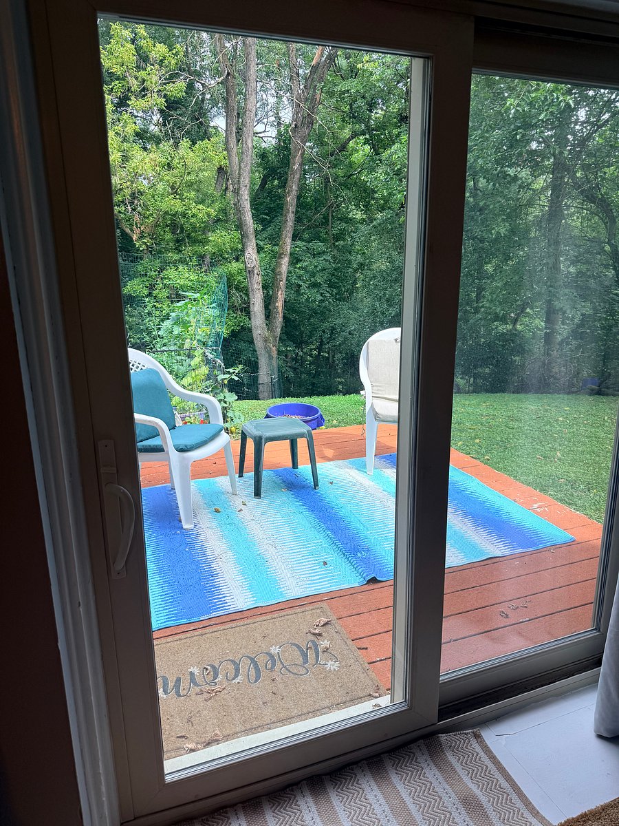 Furnished Finder property 302661_1 photo 11