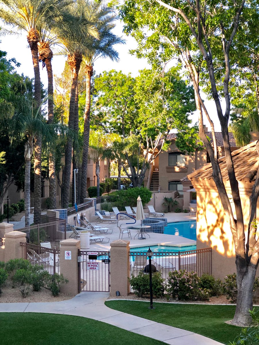 Furnished Finder property 302662_1 photo 34