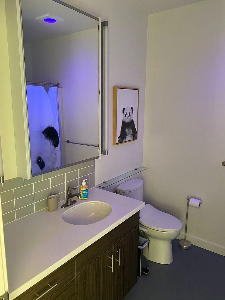 Furnished Finder property 302857_1 photo 12
