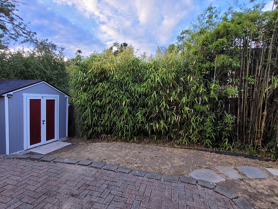 Furnished Finder property 302860_1 photo 18