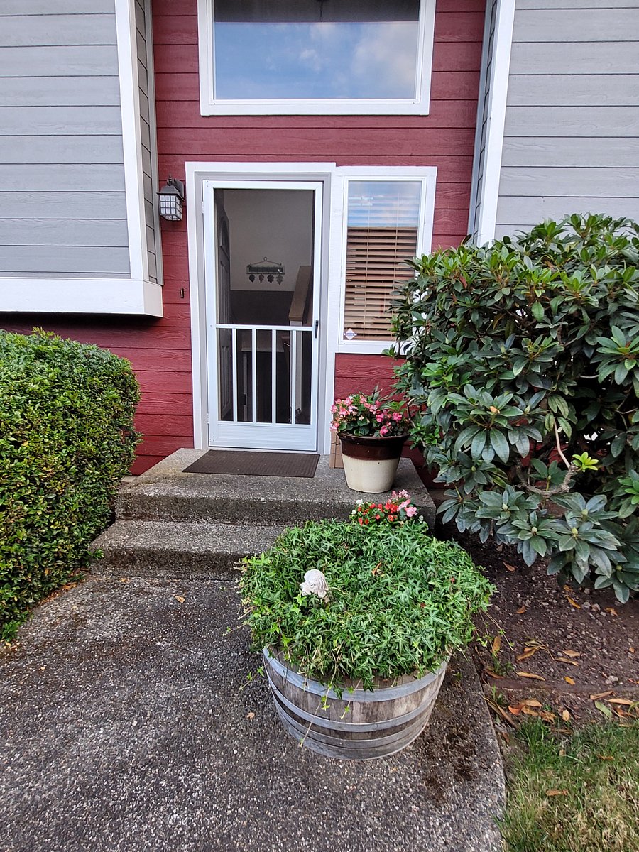 Furnished Finder property 302860_1 photo 16