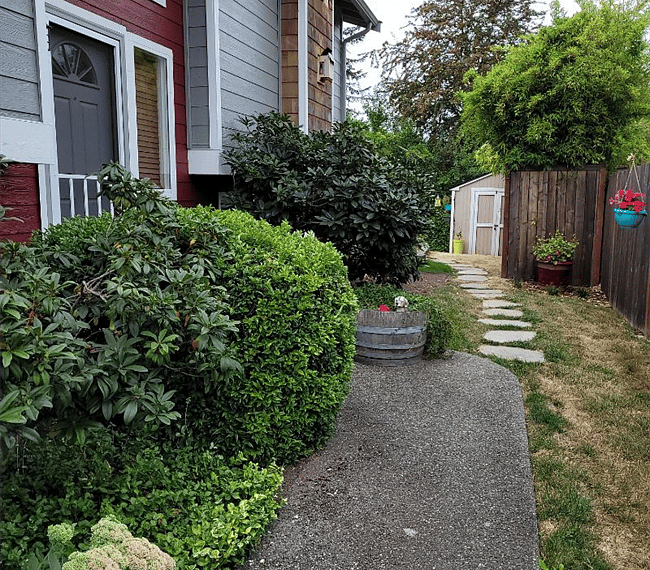 Front Walkway & Yard