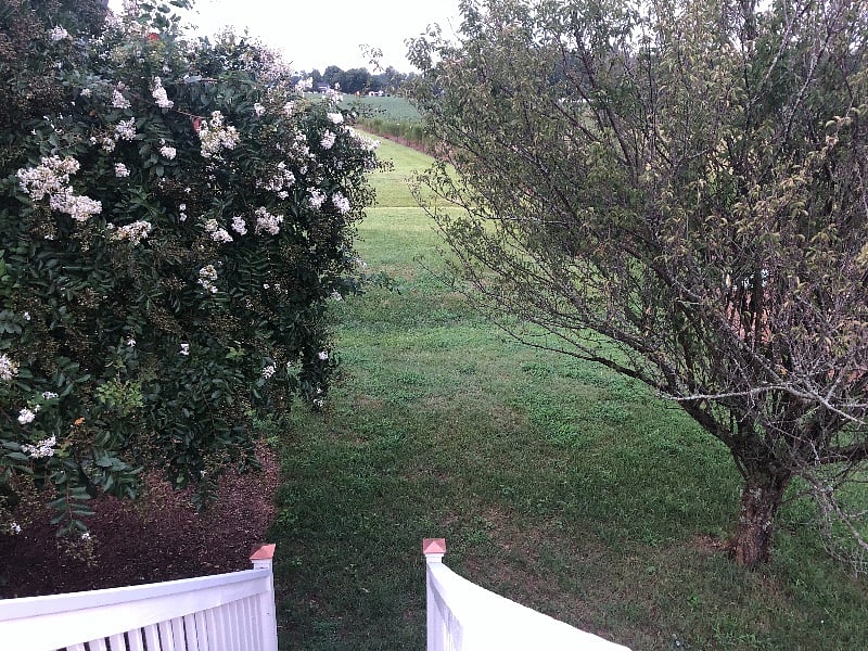 Furnished Finder property 302878_1 photo 26