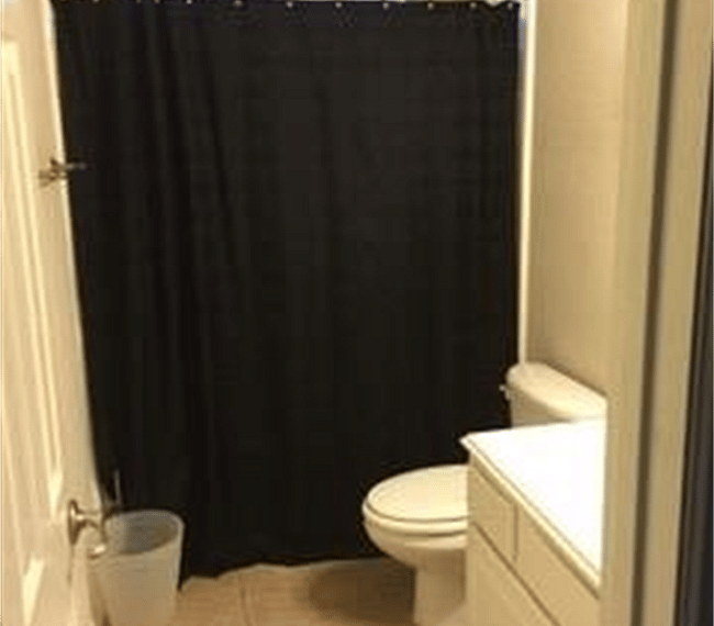 Furnished Finder property 302883_1 photo 16