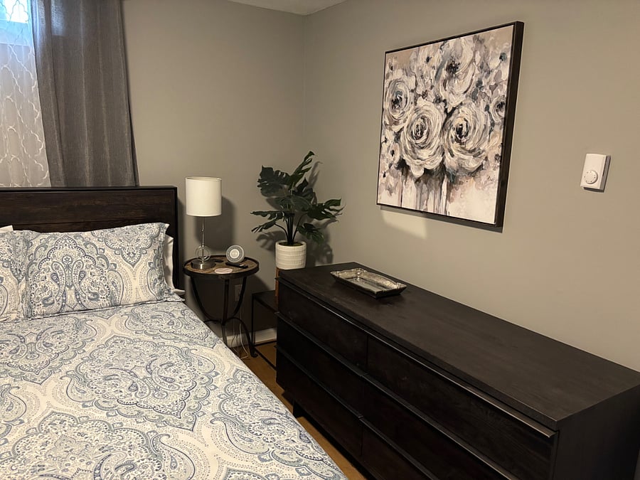 Furnished Finder property 302907_1 photo 14