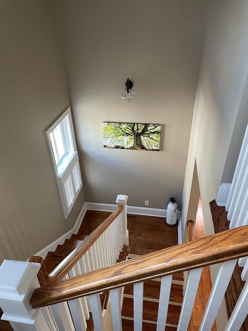 Furnished Finder property 302918_1 photo 13