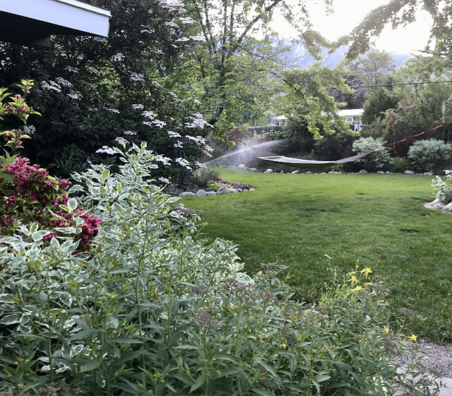 Lush Landscaped Private Fenced Yard