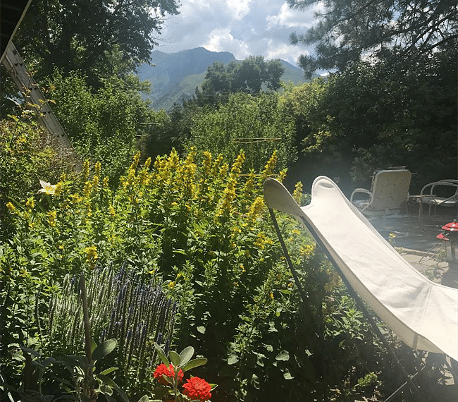 Mountain Views