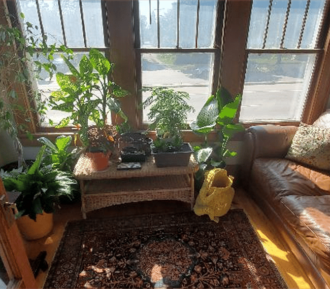 Shared sun room
