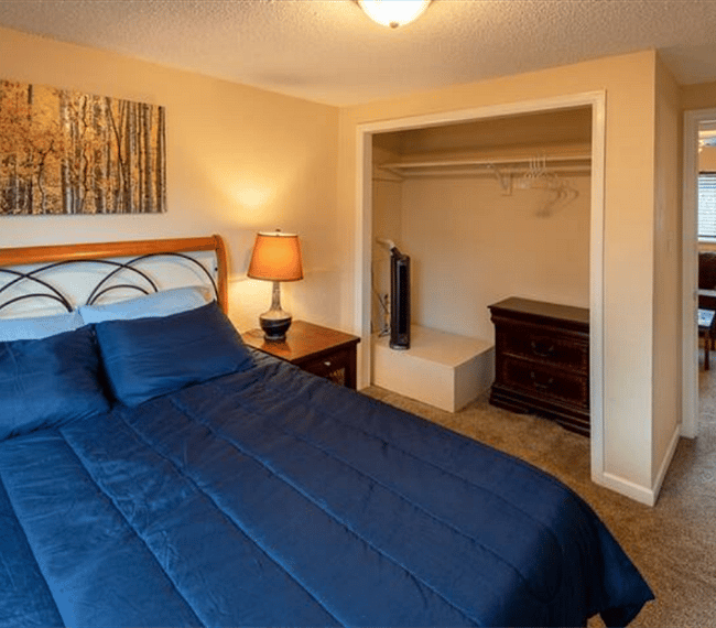 Furnished Finder property 303107_1 photo 7