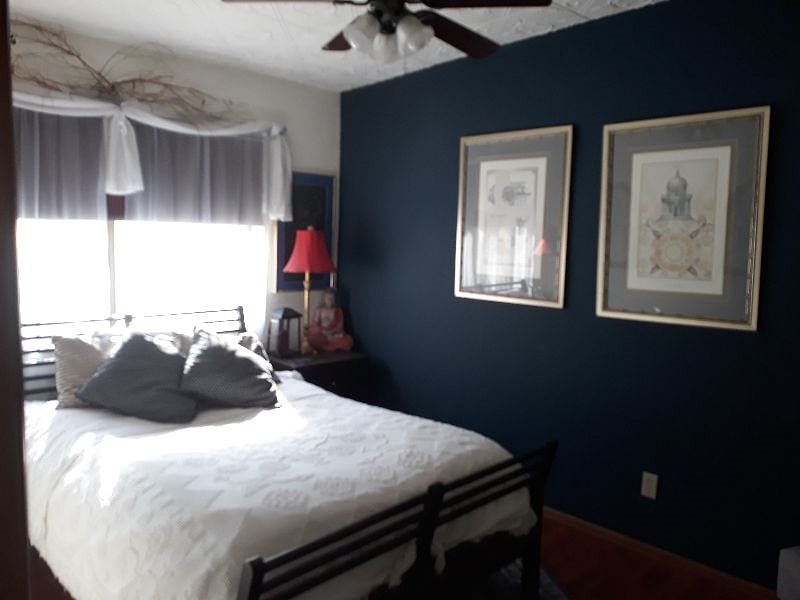 Furnished Finder property 303248_1 photo 16