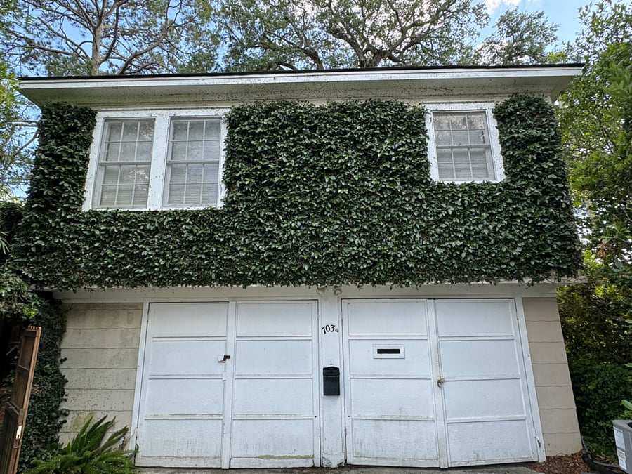 Furnished Finder property 303309_1 photo 19