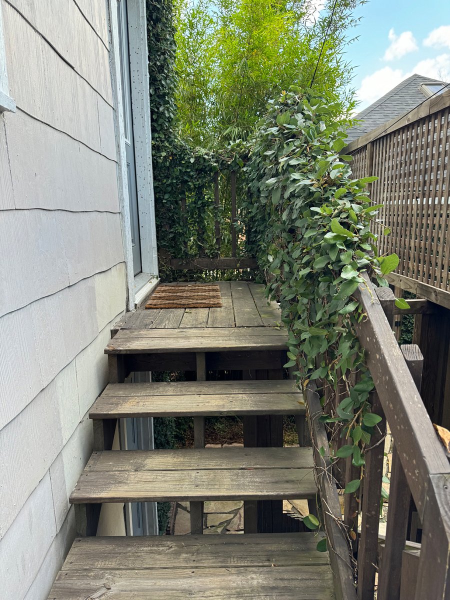 Furnished Finder property 303309_1 photo 18
