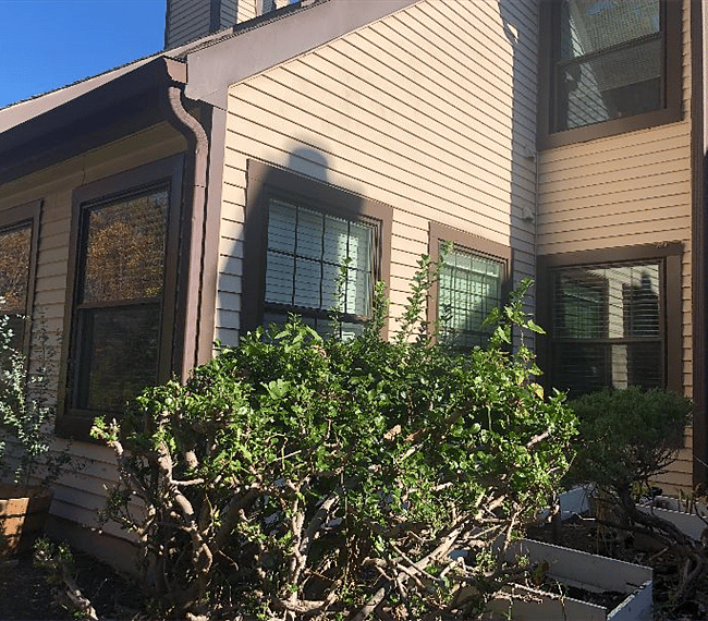 Furnished Finder property 303337_1 photo 24