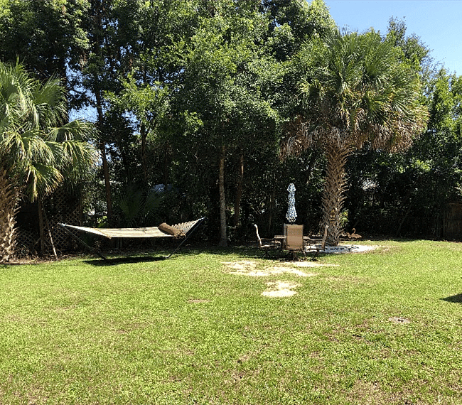 Furnished Finder property 303507_1 photo 18