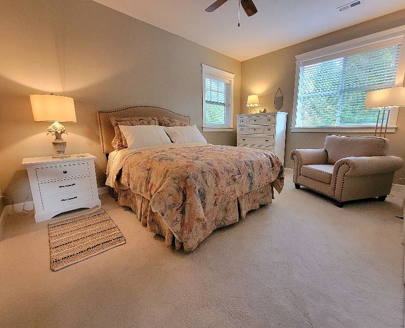 Furnished Finder property 303608_1 photo 13